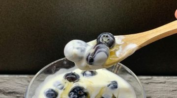 yogurt fermentato con mirtilli e miele